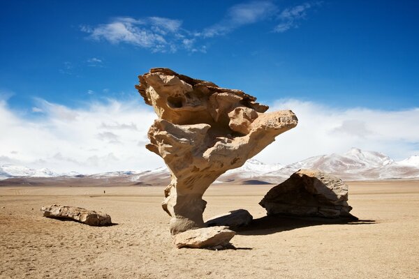 Piedras en medio del desierto