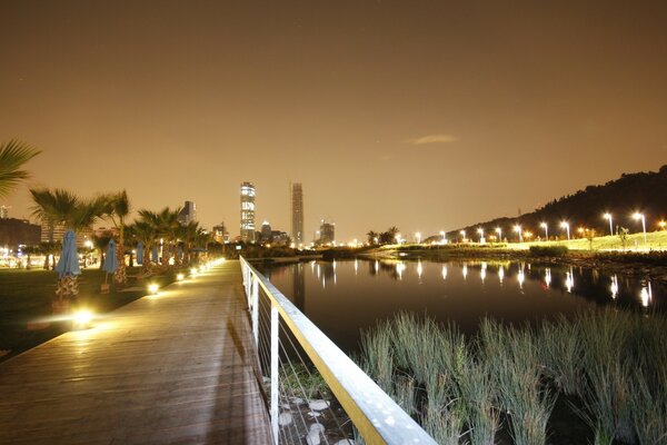 Night view of the marina sea