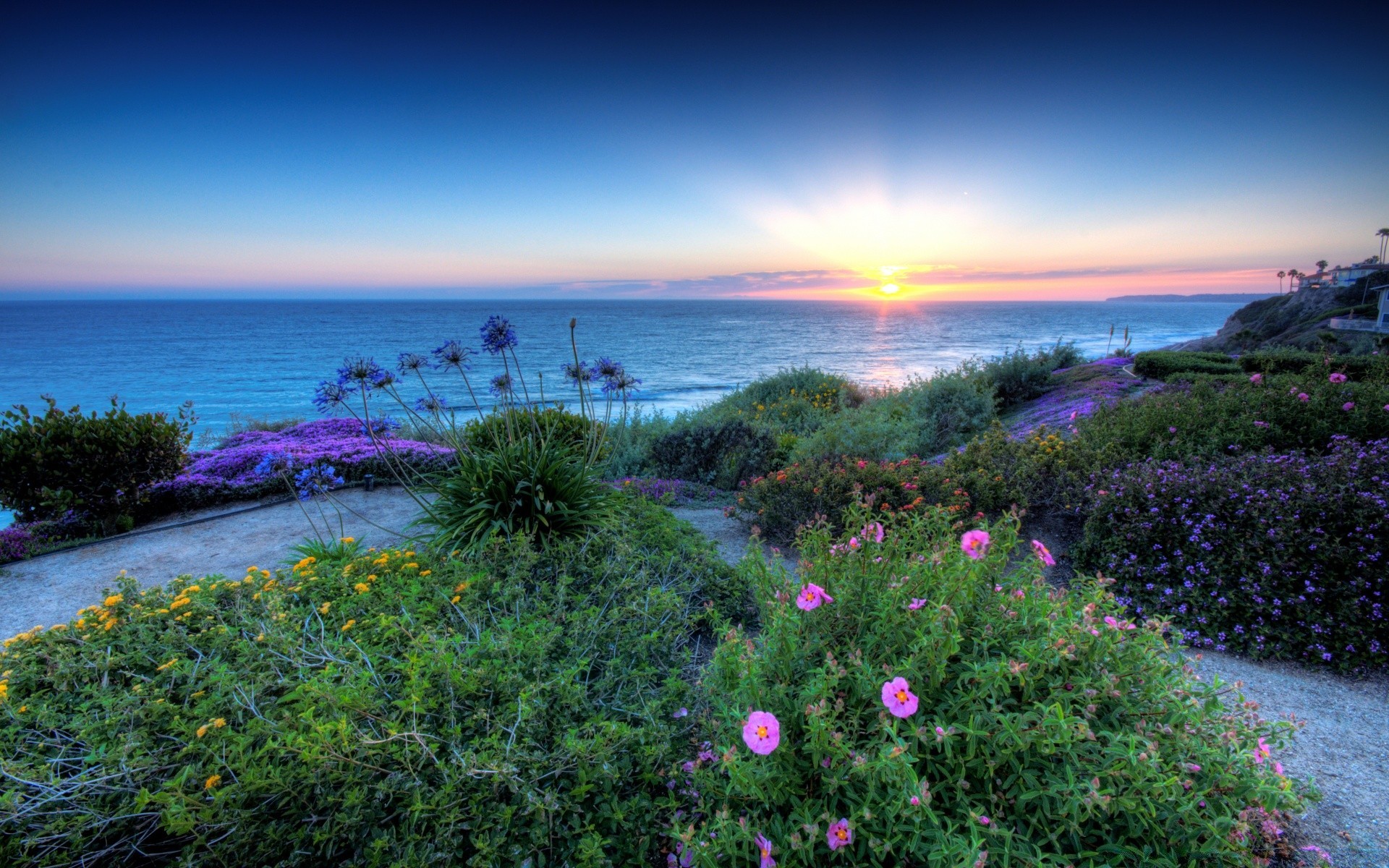 america nature landscape water summer sky outdoors sea seashore sun travel beach sunset ocean scenic fair weather flower sight