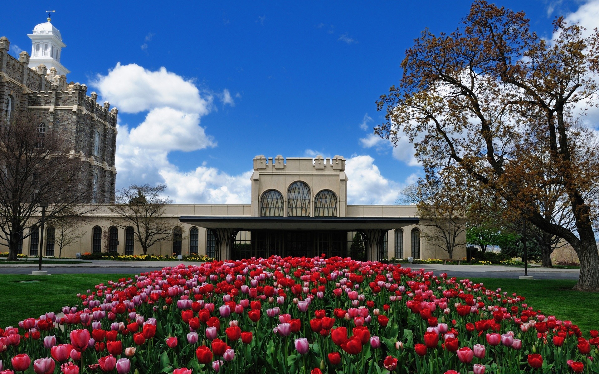 america architettura giardino fiore casa città all aperto parco viaggi luce del giorno cimitero cielo religione castello tomba albero monumento prato museo