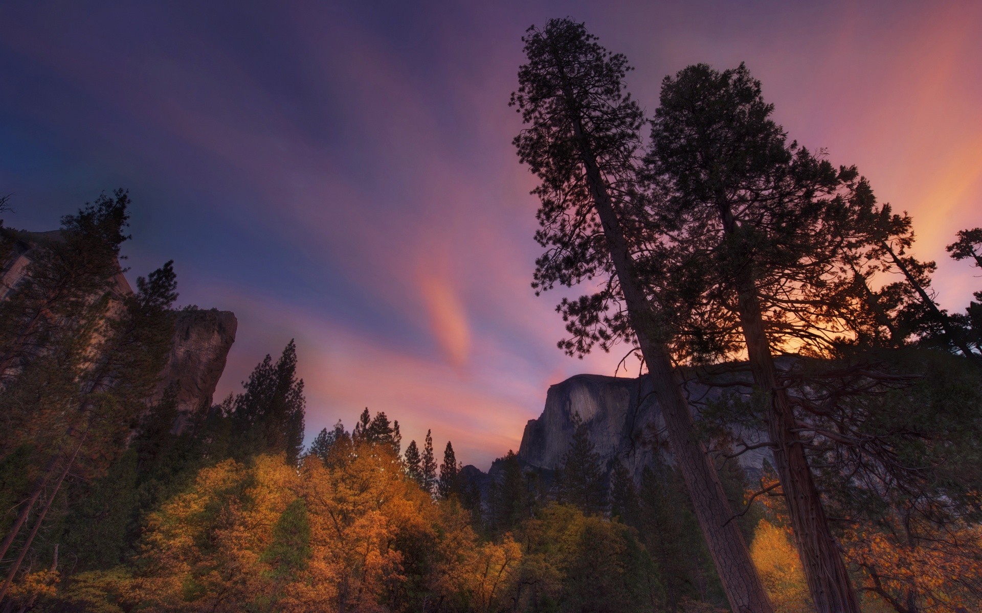 america tramonto albero alba paesaggio all aperto sera legno autunno nebbia crepuscolo cielo natura viaggi scenico