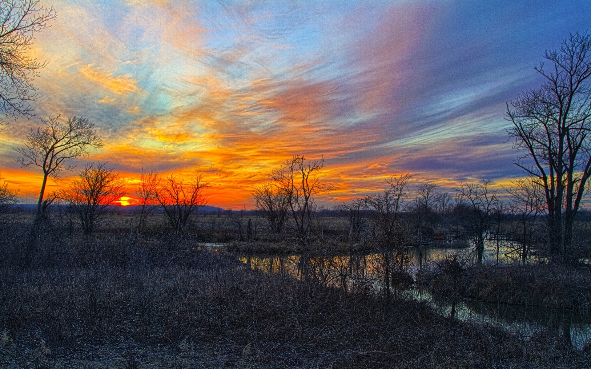 america landscape fall sunset tree dawn nature evening sun sky light outdoors fair weather season wood countryside dusk