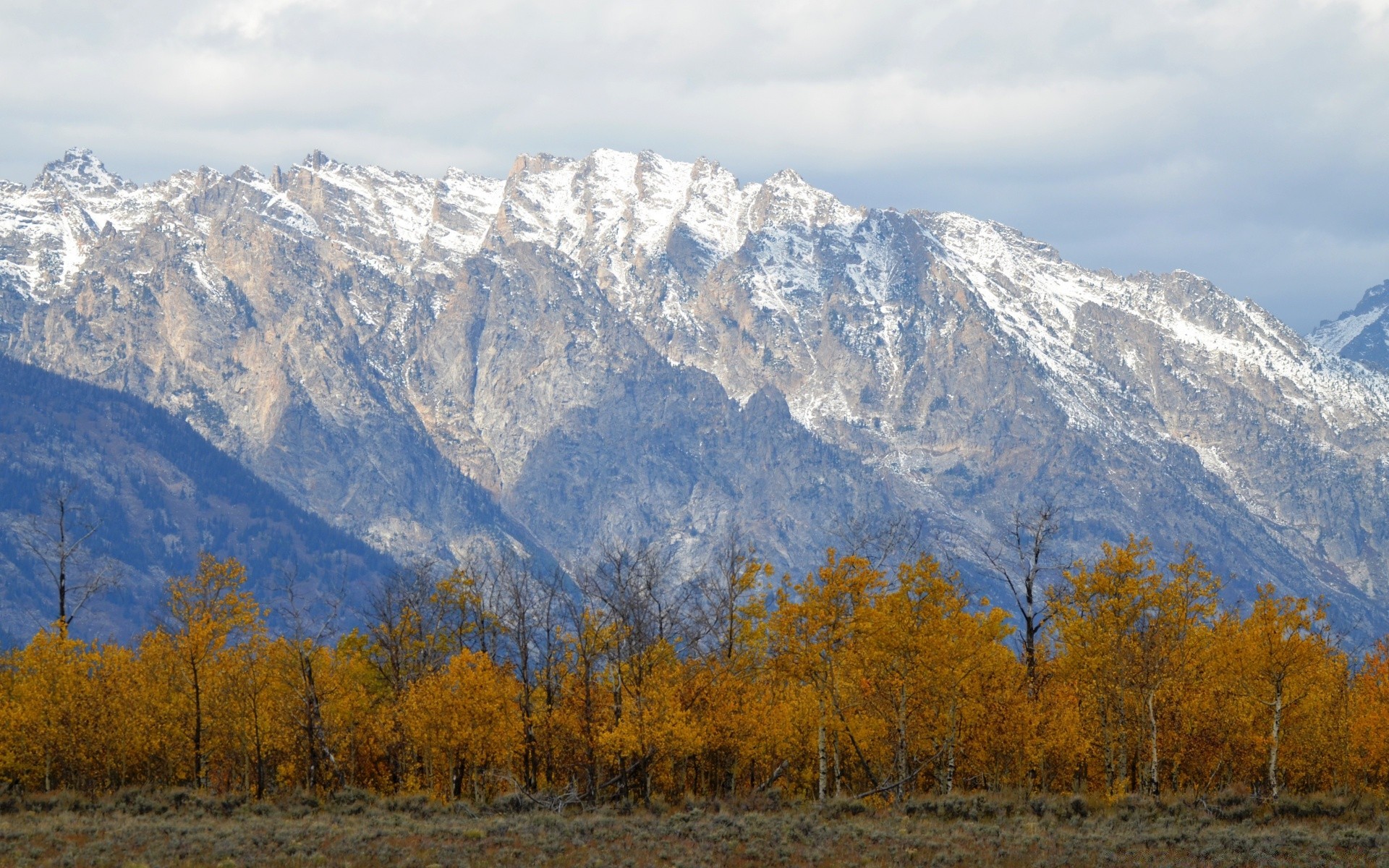 amérique neige montagnes bois paysage automne scénique bois à l extérieur nature voyage ciel lumière du jour hiver