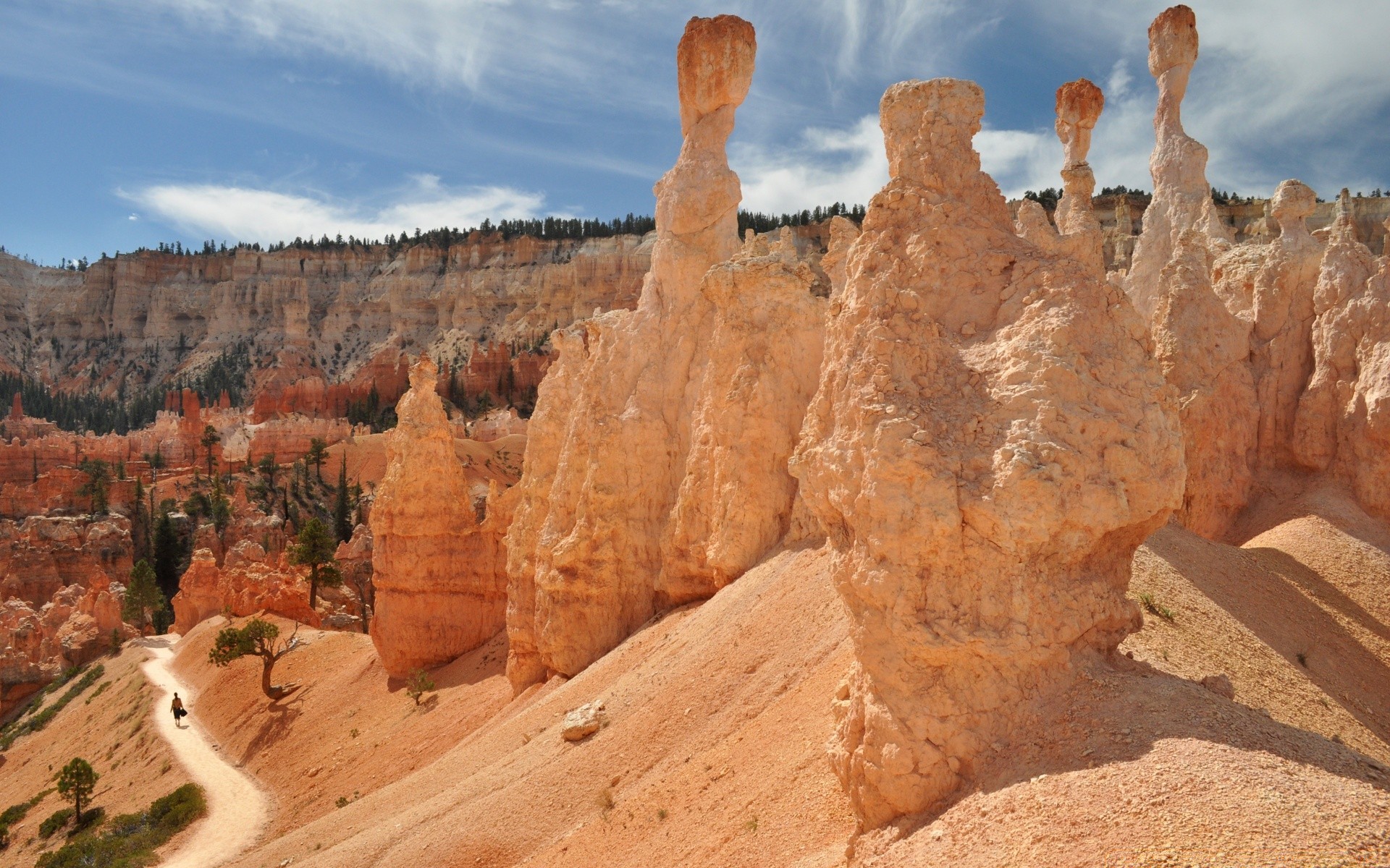 amerika kumtaşı seyahat kanyon açık havada kaya jeoloji erozyon çöl doğa manzara doğal vadi gökyüzü kayalar pinnacle park jeolojik oluşum arid dağlar