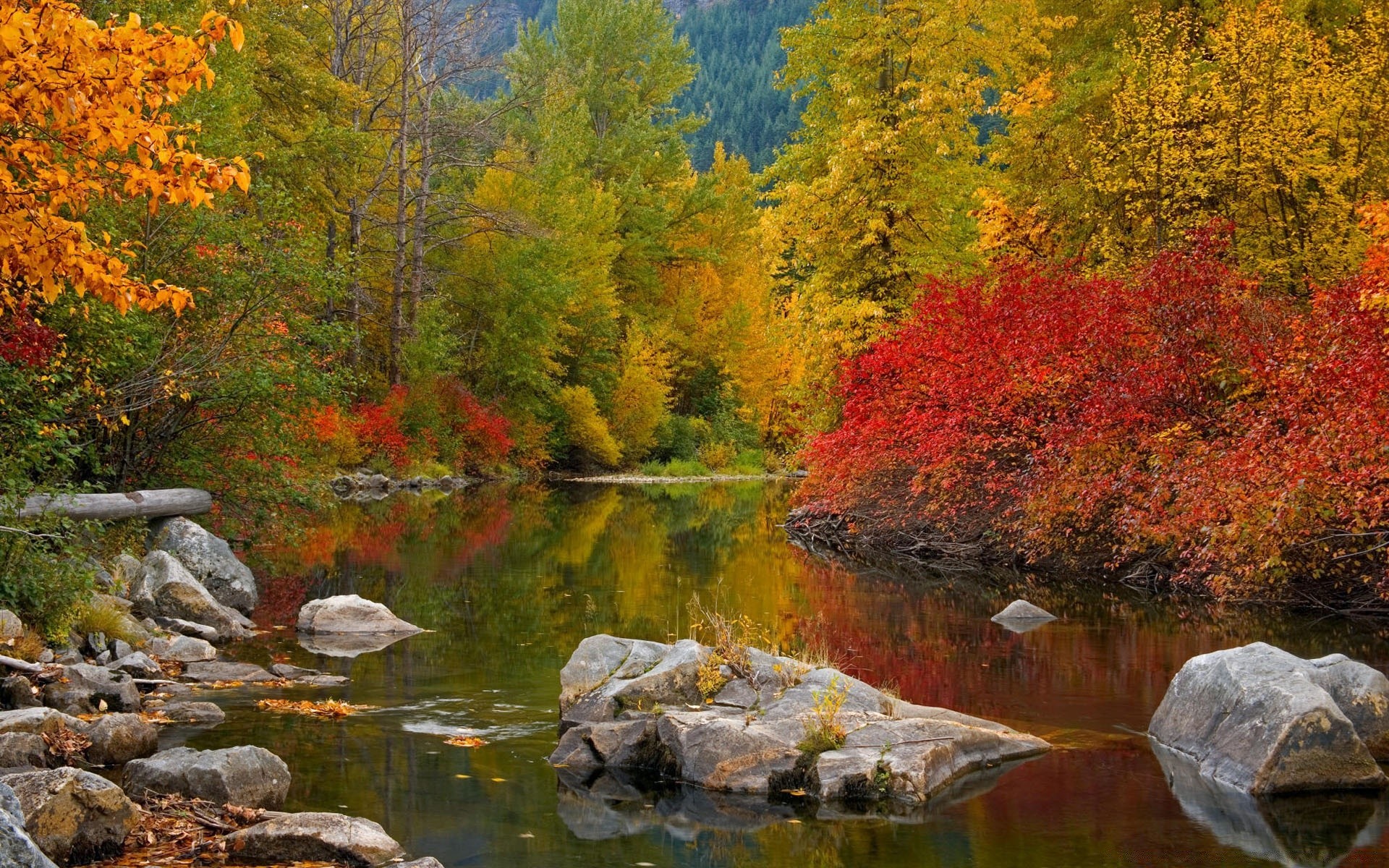 america fall leaf water nature wood tree landscape outdoors river maple lake scenic park season stream wild mountain composure scenery