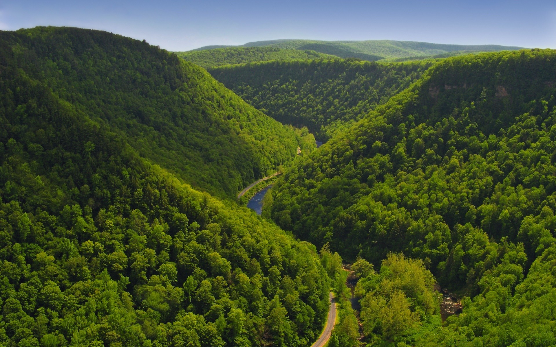 america landscape nature wood mountain tree travel hill outdoors scenic valley sky summer rural countryside leaf flora agriculture growth