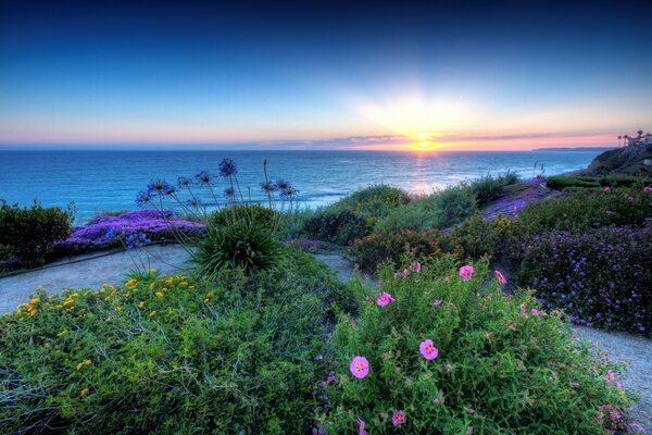 Sommerabend am Meer