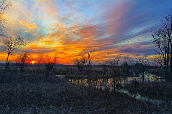 Baker Wetland