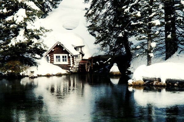 Wooden house in the winter forest