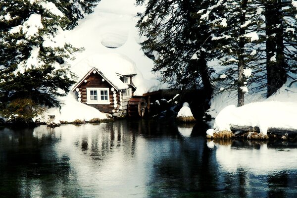 Kış ormanında ahşap ev
