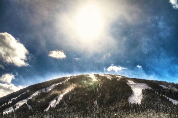 Sol brillante de invierno sobre el bosque