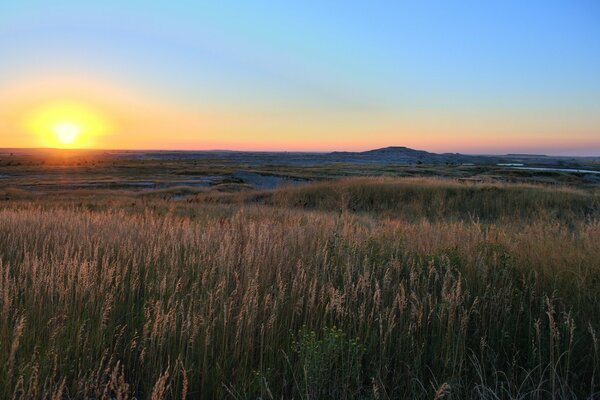 Amanhecer no campo de trigo