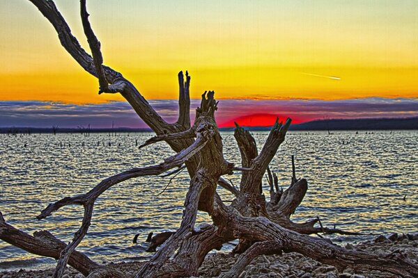 Landscape on the seashore