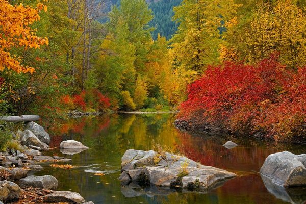 Es ist Herbstzeit. Schöne Natur