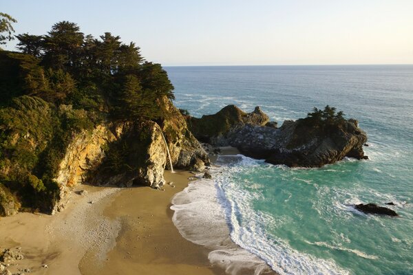 The seashore. wild beach