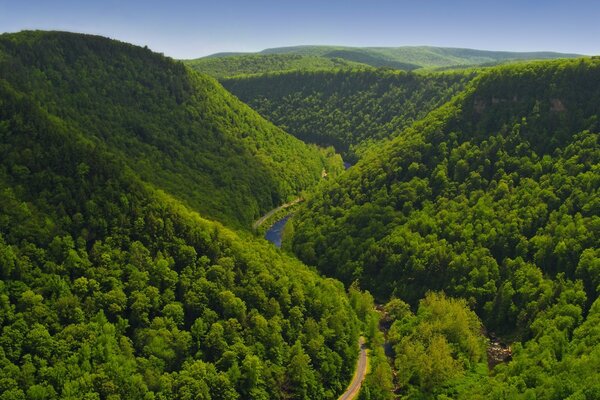 Пейзаж пагорбів у літній день