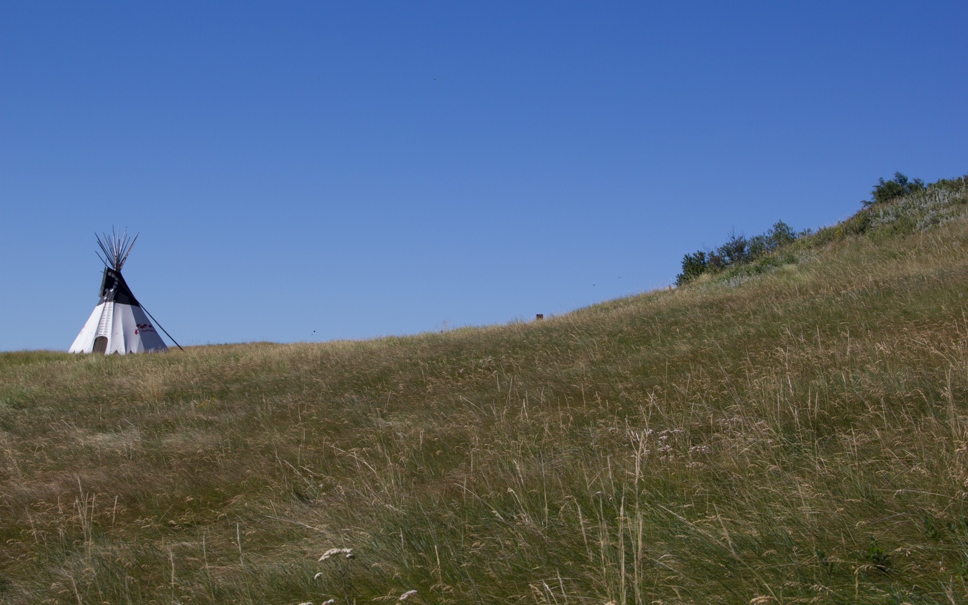 america landscape sky grass outdoors daylight travel nature grassland cropland agriculture tree