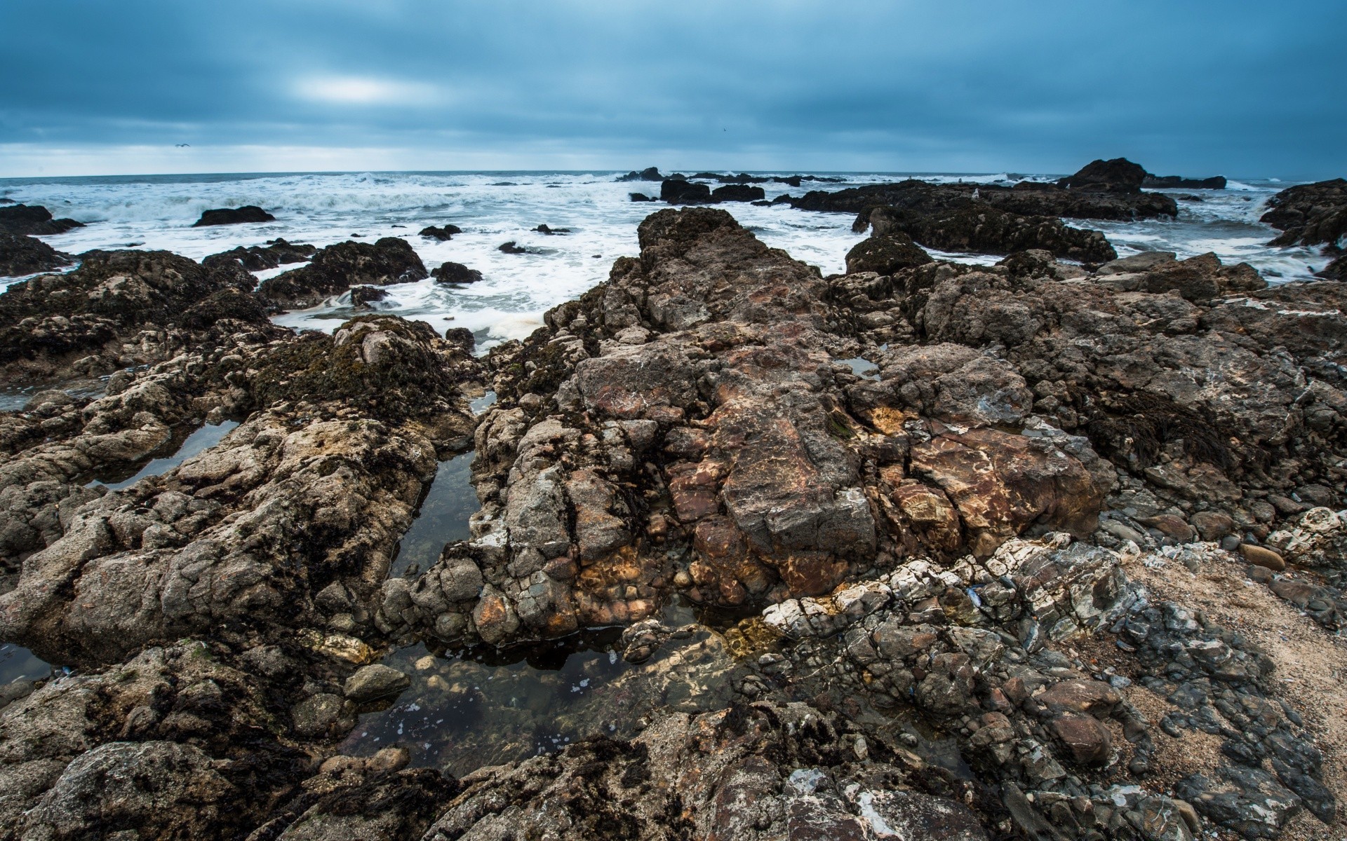 amerika meer meer wasser ozean rock strand ufer landschaft natur himmel landschaft rocky reisen flut algen sand küsten stein im freien