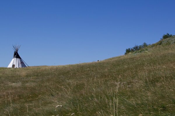 Indian figwam on a green meadow