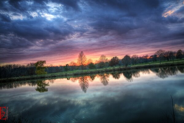 The sparkling reflection of trees on the water