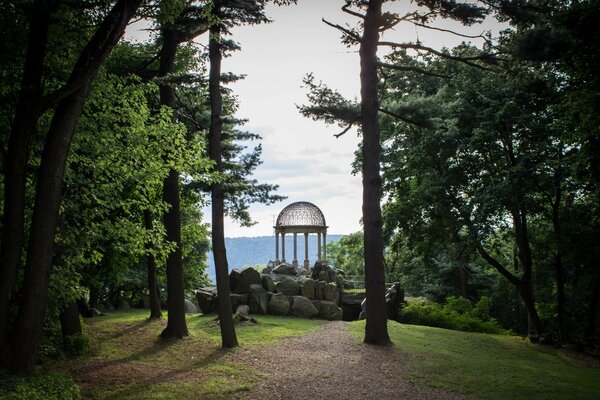 A lonely gazebo in the middle of fir trees and leaves