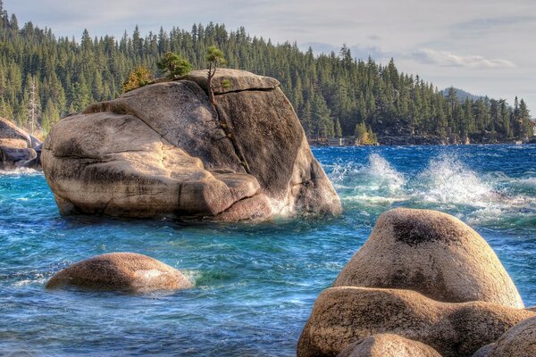 Paisagem marinha nos Estados Unidos