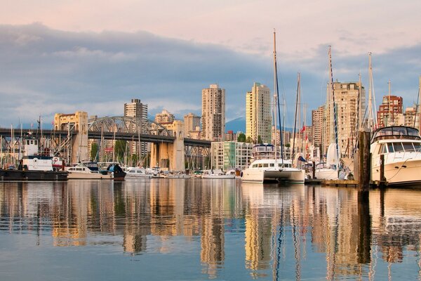 Steamboats on the background of high-rise buildings