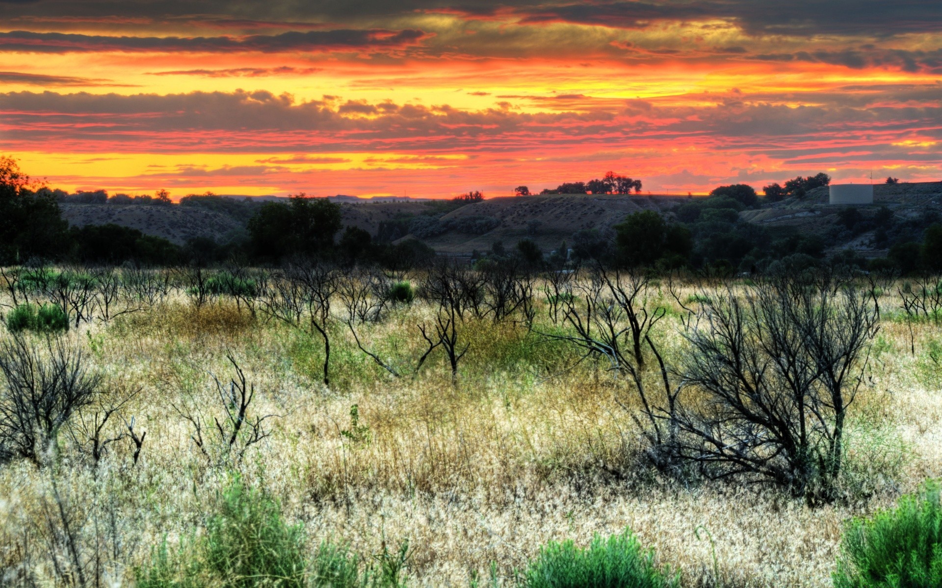 amérique paysage nature coucher de soleil ciel herbe à l extérieur arbre aube voyage sec