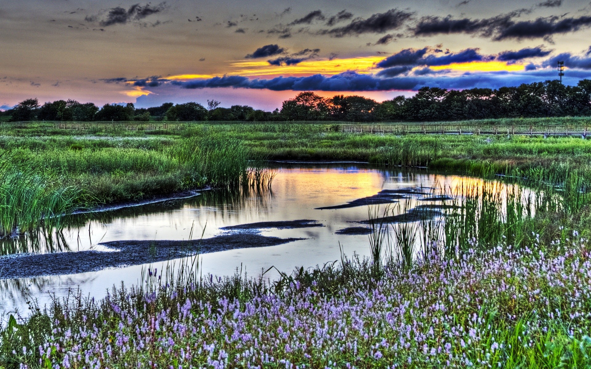 amérique nature eau paysage lac réflexion rural scénique été herbe ciel à l extérieur rivière champ aube saison foin piscine paysage campagne