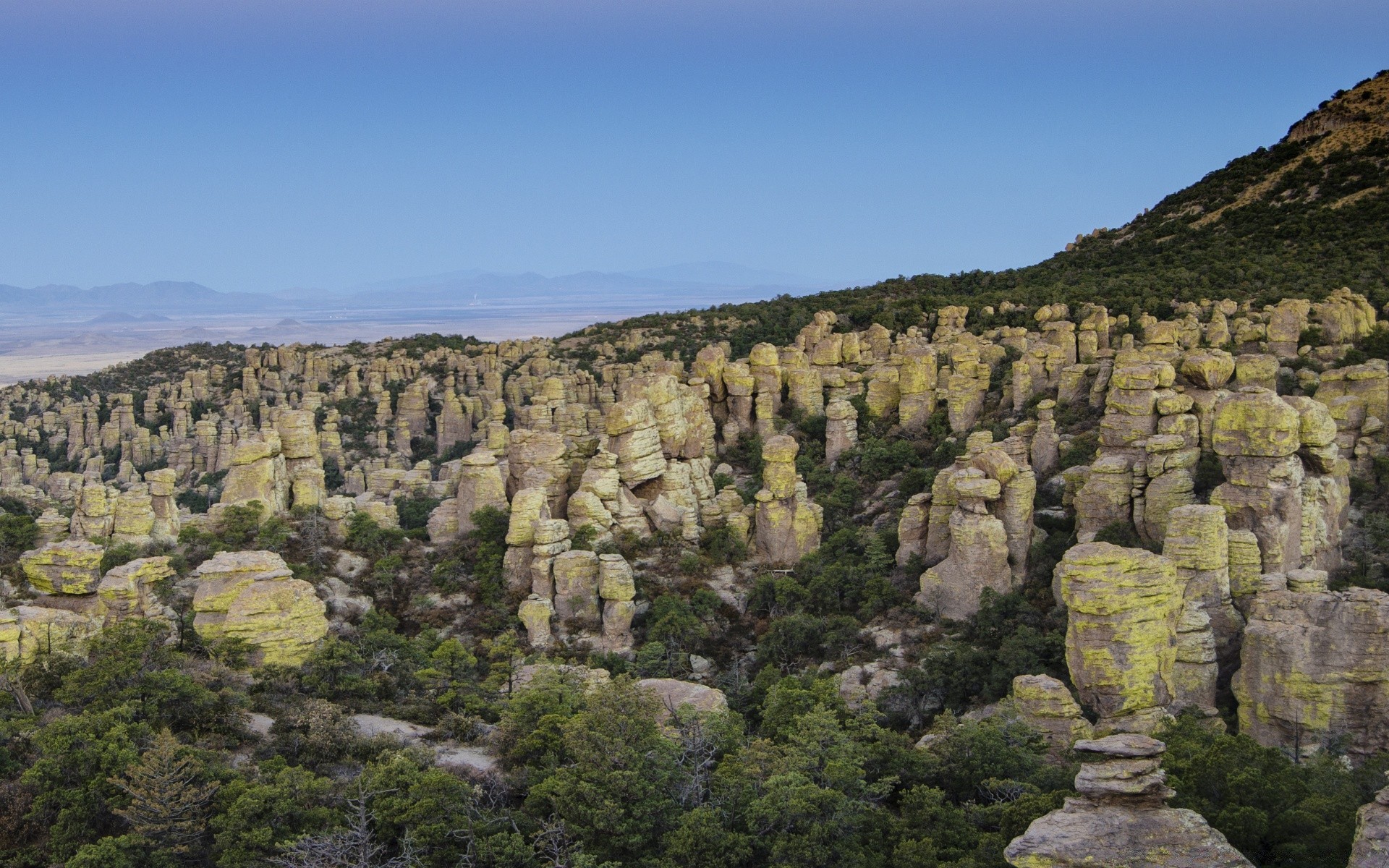 amérique paysage nature voyage rock montagnes ciel en plein air pittoresque vallée spectacle bois pierre colline été géologie tourisme bois point de repère