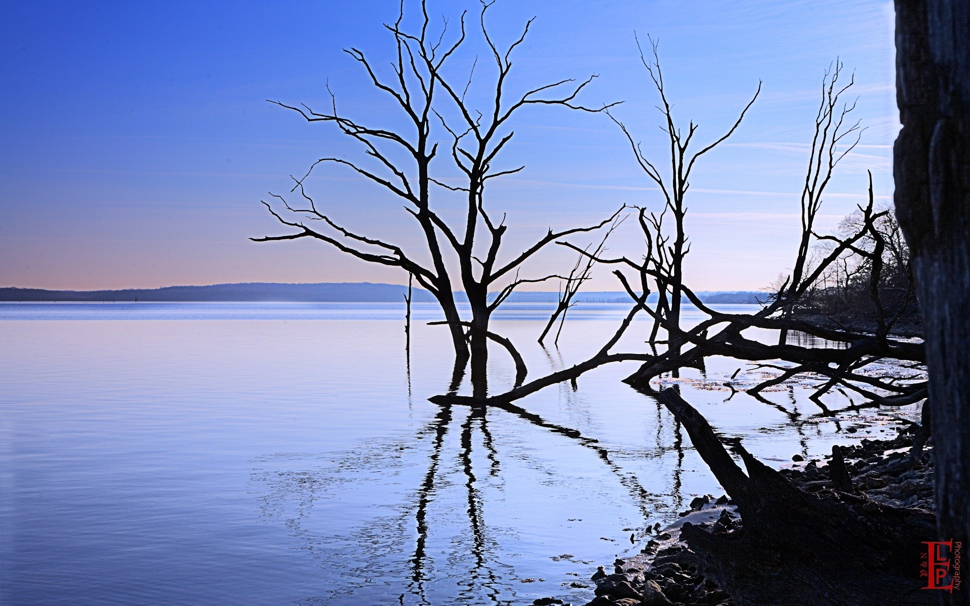 américa agua paisaje árbol naturaleza cielo amanecer al aire libre noche silueta lago madera escénico puesta de sol viajes reflexión