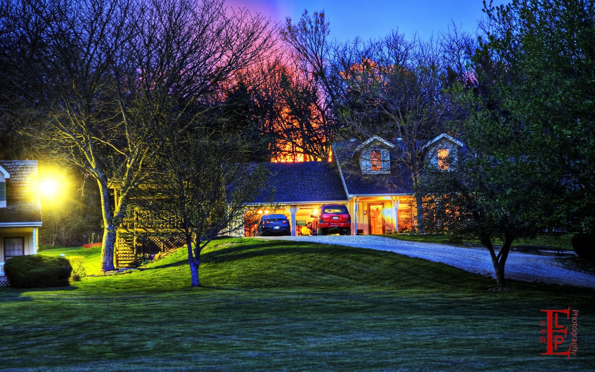 america tree outdoors landscape grass light park