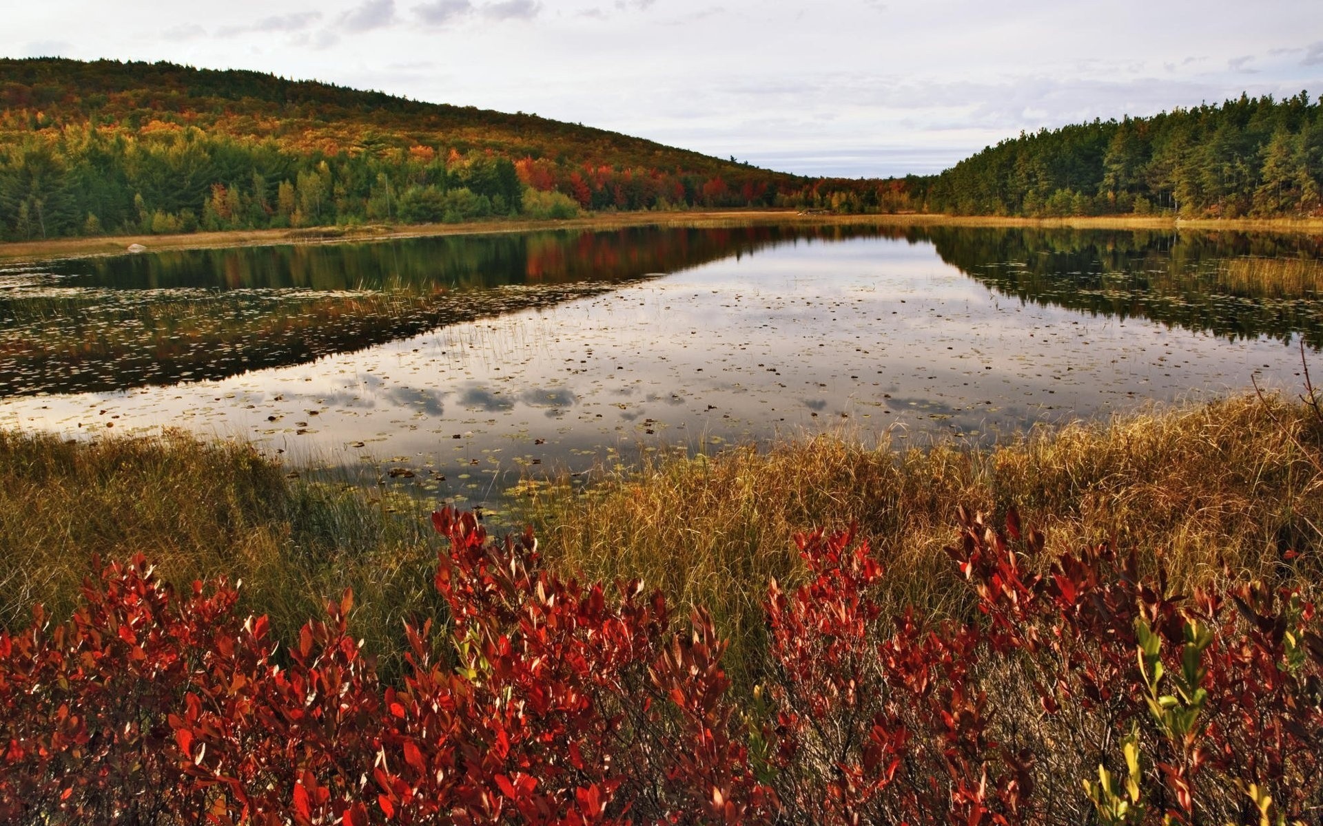 amérique paysage à l extérieur eau nature voyage scénique rivière ciel champ