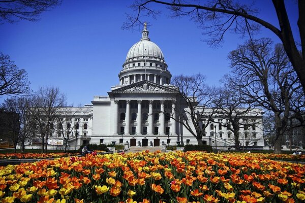 City administration on the background of beautiful flowers