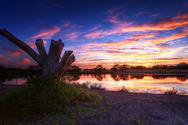 Wetlands panorama