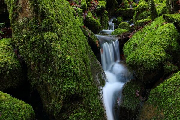 Cascada de montaña en latitudes del Norte