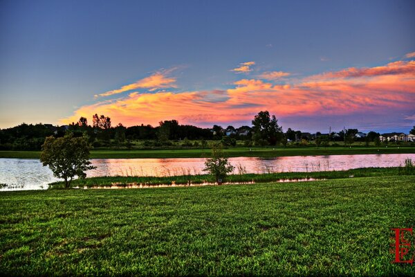 Beautiful summer nature on the river