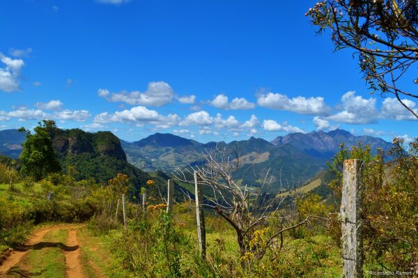 Paisagem colorida da natureza ao longo da estrada