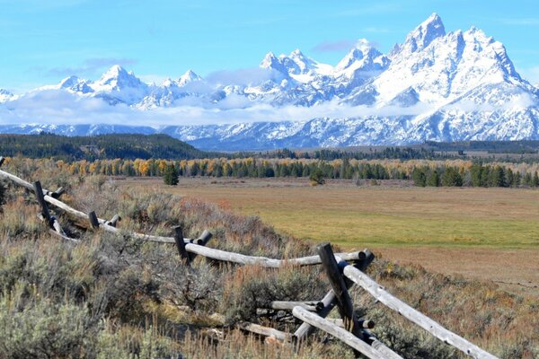 American nature on the background of mountains