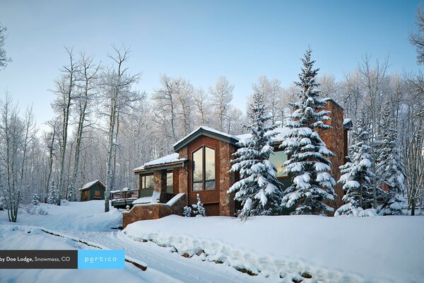 A lonely palace in the middle of a winter forest