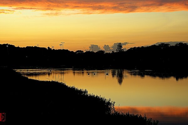 Paesaggio acquatico dell America all alba