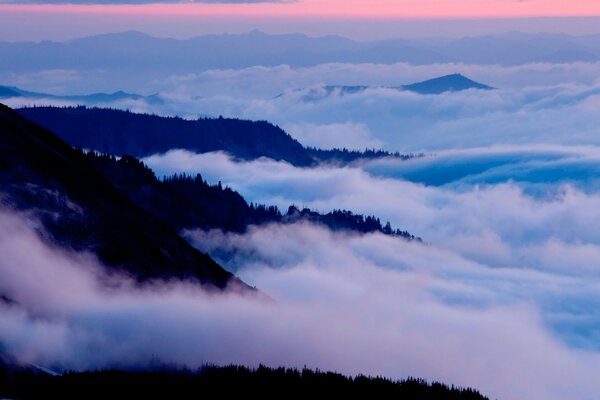 We are flying above all the clouds