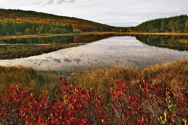 Autumn landscape of nature hills by the river