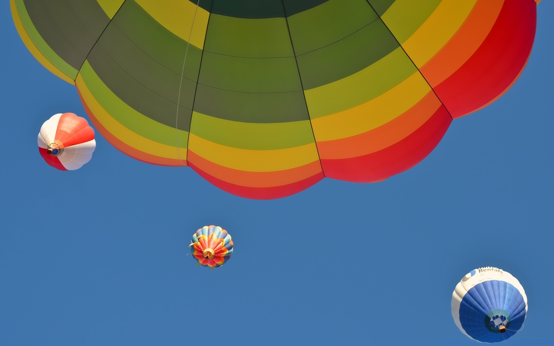 amerika ballon heiß-ballon luft himmel vergnügen urlaub urlaub schwimmen luftschiff helium fliegen flug fallschirm wind freiheit abenteuer schweben bunt im freien