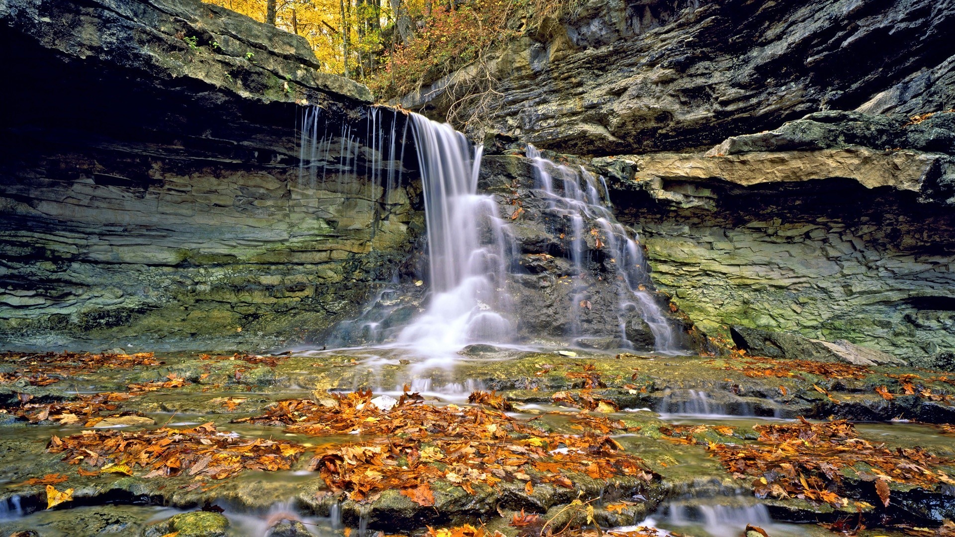 america fall water nature waterfall stream leaf rock outdoors wood landscape river travel cascade park flow creek scenic moss wet