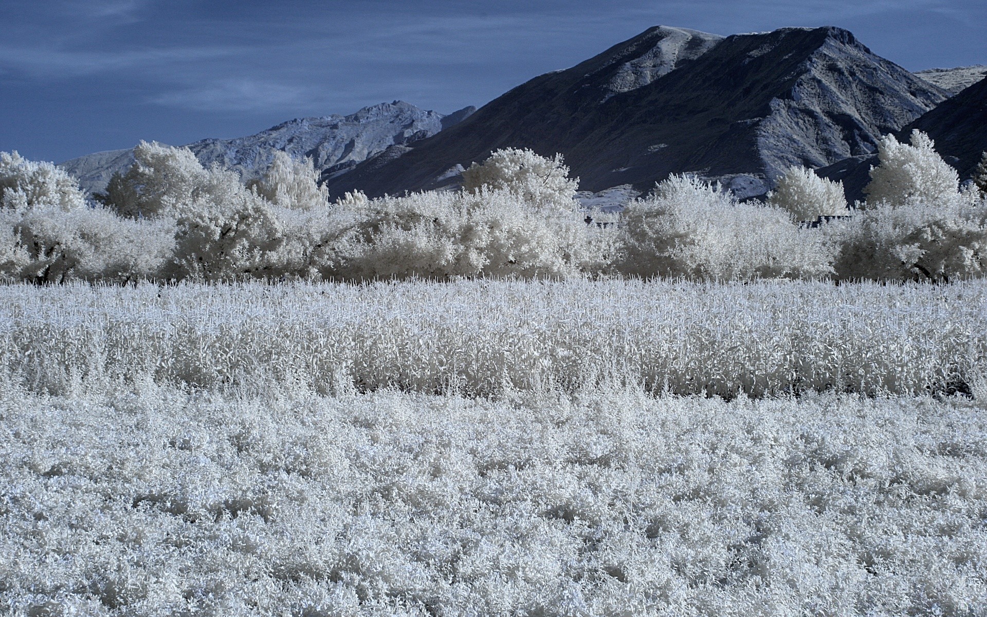 américa nieve invierno escarcha paisaje naturaleza frío congelado temporada hielo escénico al aire libre cielo buen tiempo tiempo montañas escena árbol madera