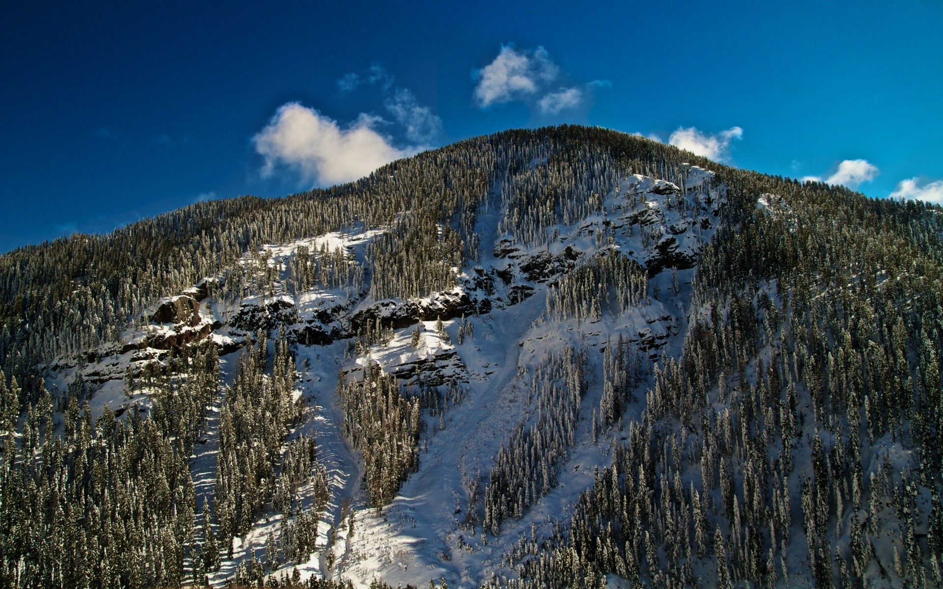 america snow mountain winter sky landscape nature scenic travel outdoors cold wood tree hill daylight ice mountain peak season