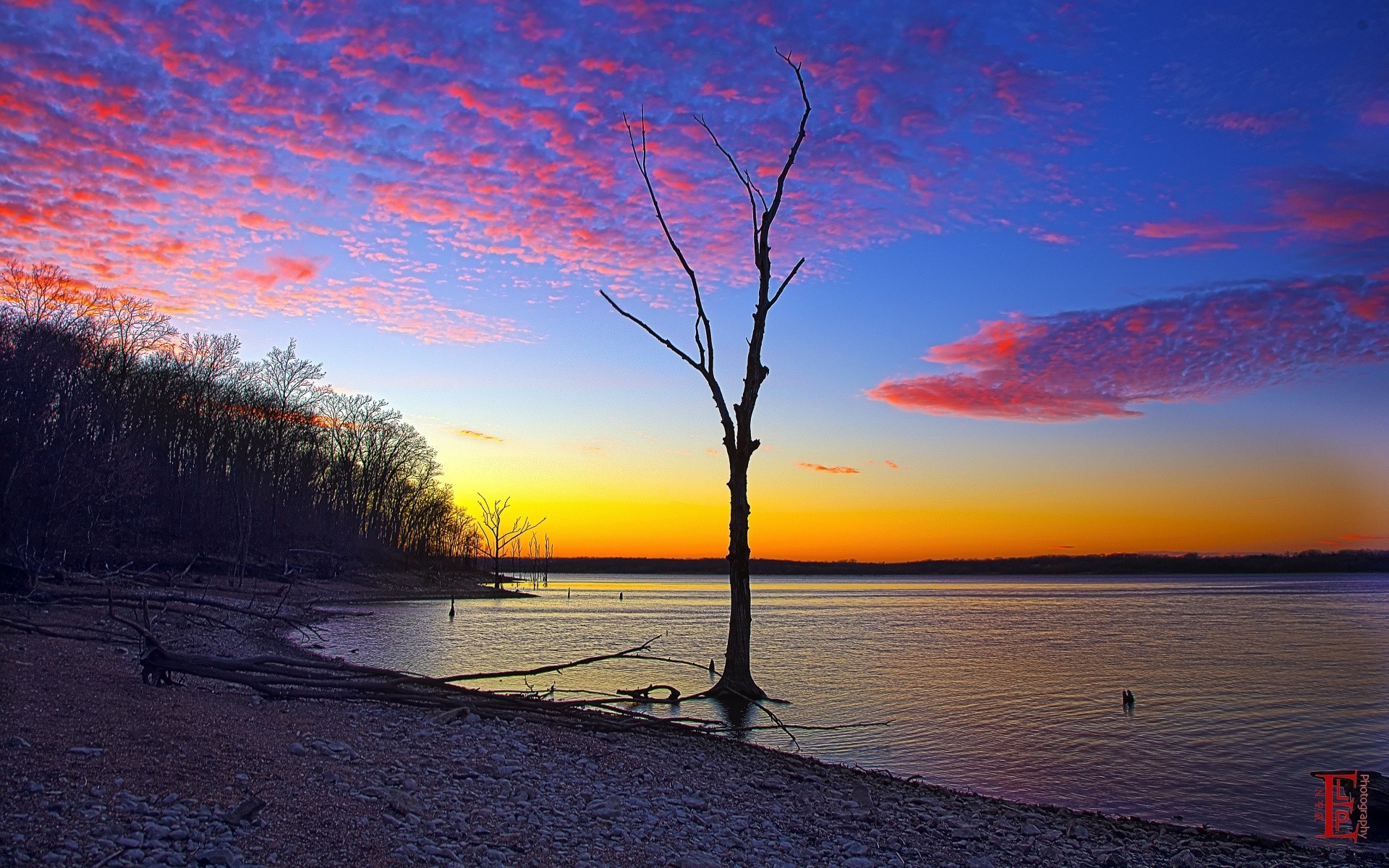 amerika sonnenuntergang wasser dämmerung abend landschaft natur dämmerung himmel baum sonne strand see