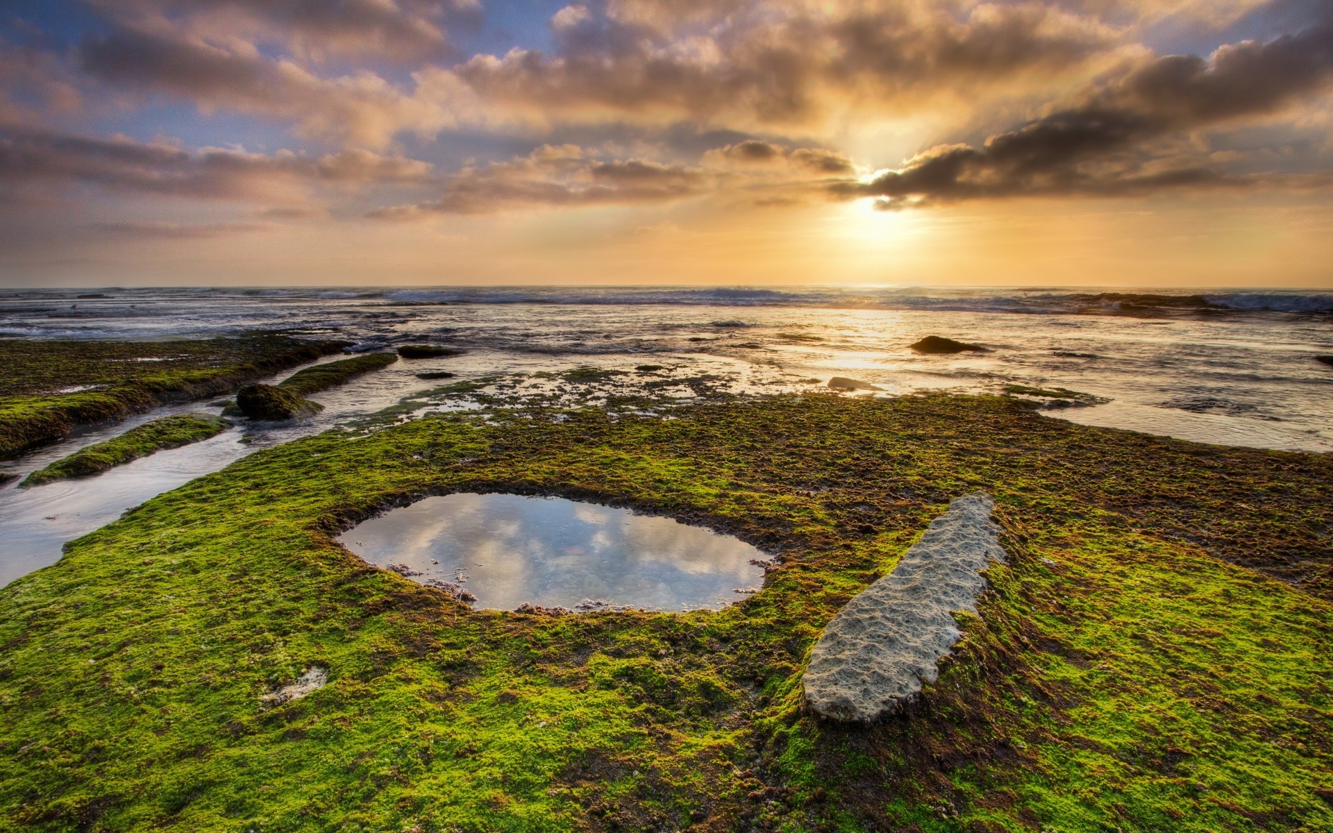 america landscape water sea seashore sunset ocean beach sky travel dawn scenic nature rock seascape evening cloud dusk