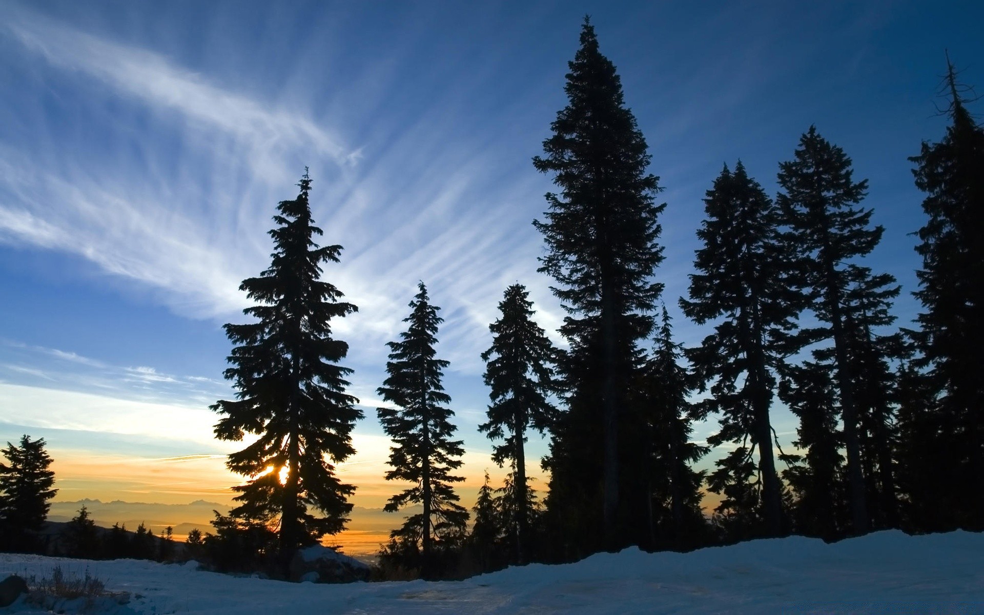 amérique conifères à l extérieur bois evergreen bois paysage aube neige nature scénique ciel beau temps lumière du jour hiver montagnes